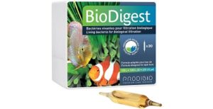 Biodigest Bacteries 390x200