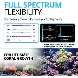 Fluval Marine Spectrum Aquarium